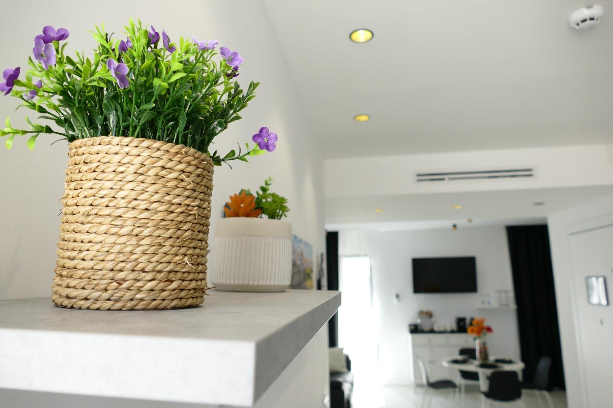 Bvholidayhouse โปลีญาโนอามาเร ห้อง รูปภาพ